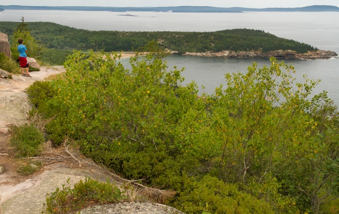 The Atlantic Ocean view from the Gorham Mountain Trail in Acadia National Park. Sue Pischke, ©2013 ALL RIGHTS RESERVED
